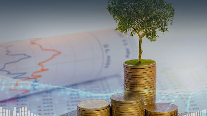 海外并购咨询：商业模式解析与对比